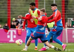 今晚拜仁慕尼黑备战足总杯，伤情更新细节曝光，态度坚定，阵容厚度经受考验的简单介绍